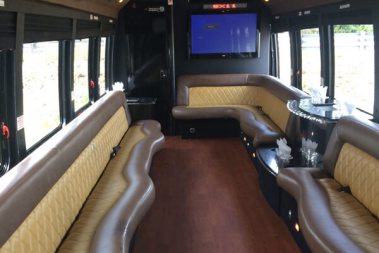 25 passenger party bus